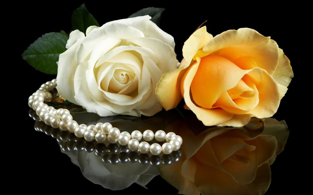 鲜花背景白玫瑰一对夫妇珍珠黑色黄色
