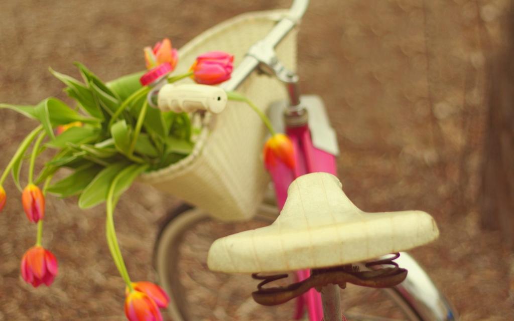 鲜花,鲜花,自行车,花束,自行车,郁金香,郁金香,花束