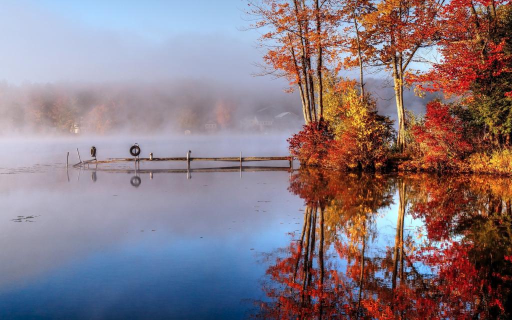 雾,早上,湖,秋天,桥
