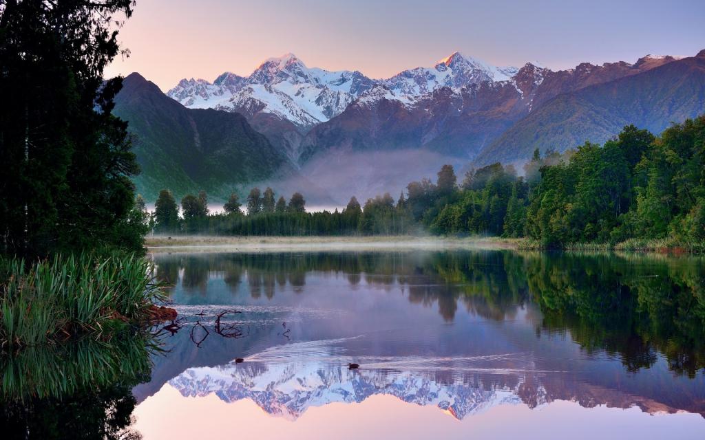 新西兰,湖泊,山脉,倒影,天空,鸭子,森林