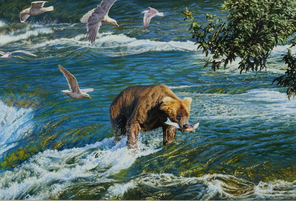 图片,鸟,河,狩猎,熊