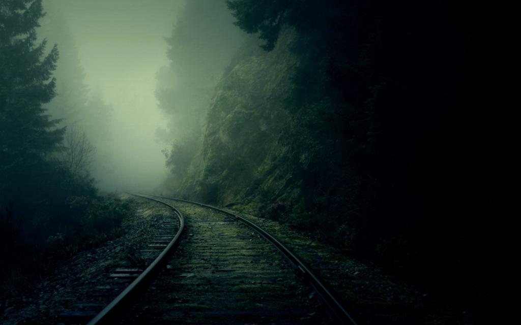 雾,转,铁路,森林