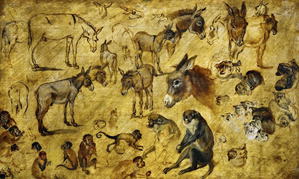 动物,Jan Brueghel长老,草图动物,图片