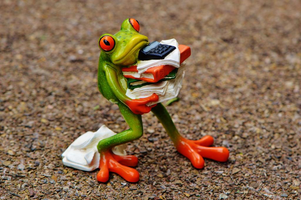 绿色红眼青蛙携带书高清壁纸