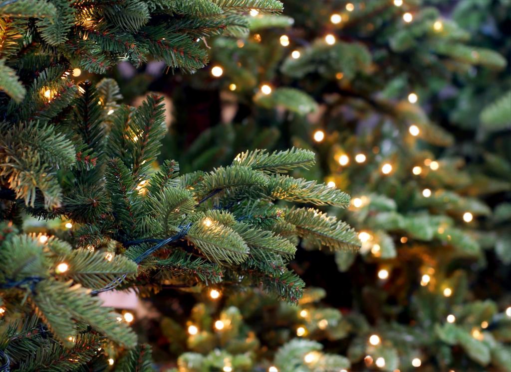 圣诞节,圣诞节,装饰,枞树,圣诞快乐,新的一年