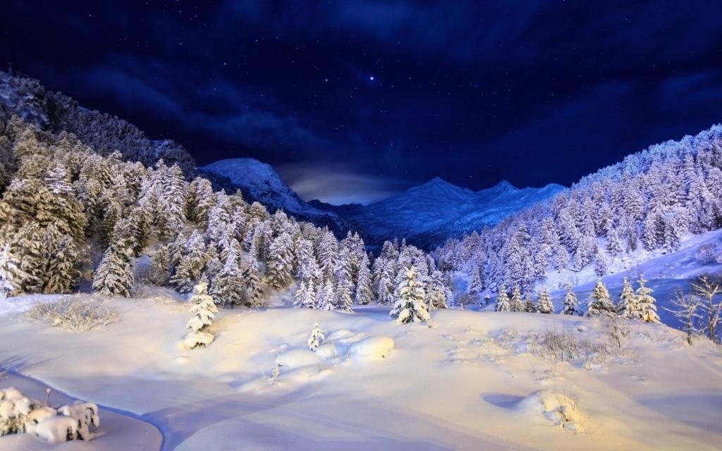 树,山,雪,冬天,星星,森林