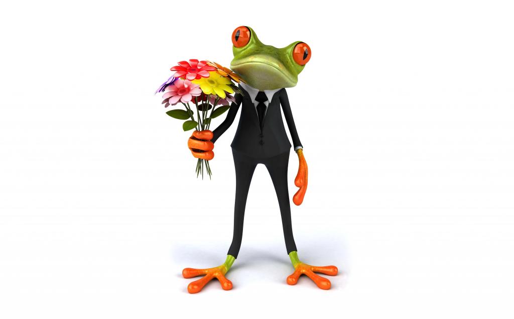 鲜花,优雅,青蛙,搞笑,青蛙