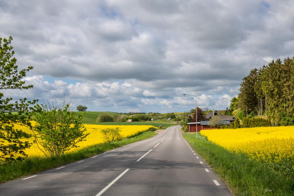 道路之间的黄色领域与灰色云彩摄影高清壁纸
