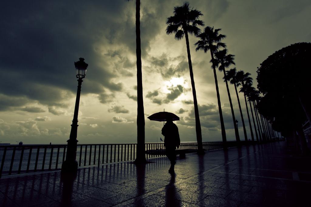 一个人在海湾高清壁纸上行走时打着伞的轮廓