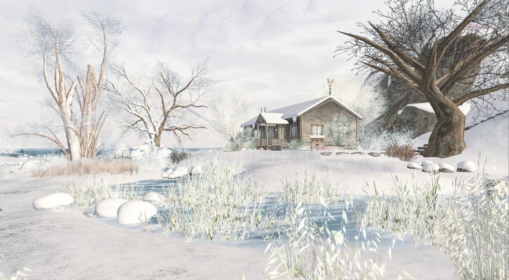 冬天,景观,雪,房子,树木