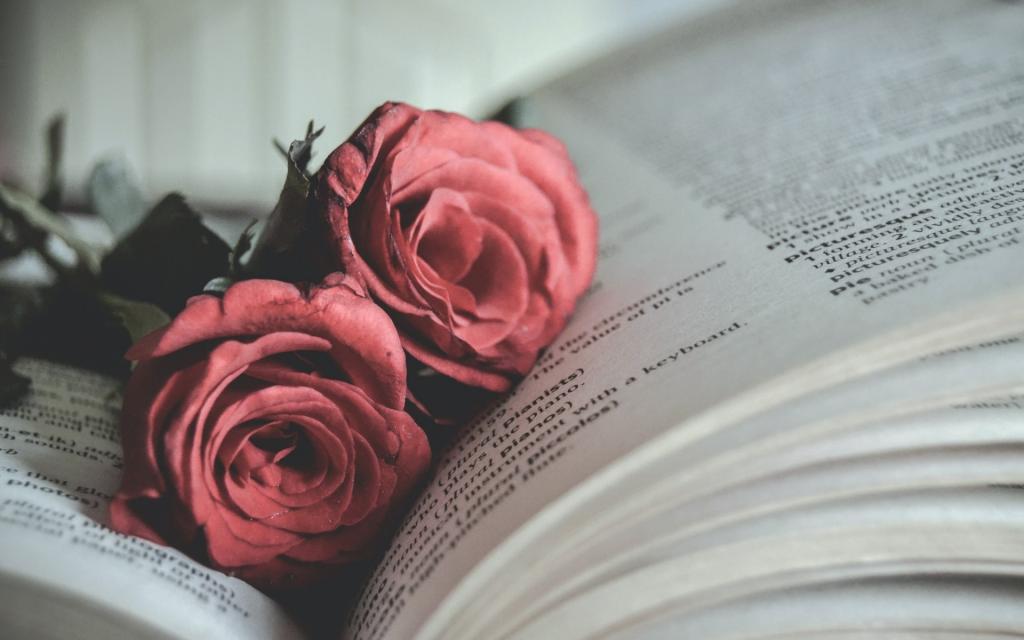 书,玫瑰,鲜花