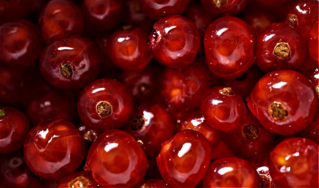 水润饱满的红色浆果