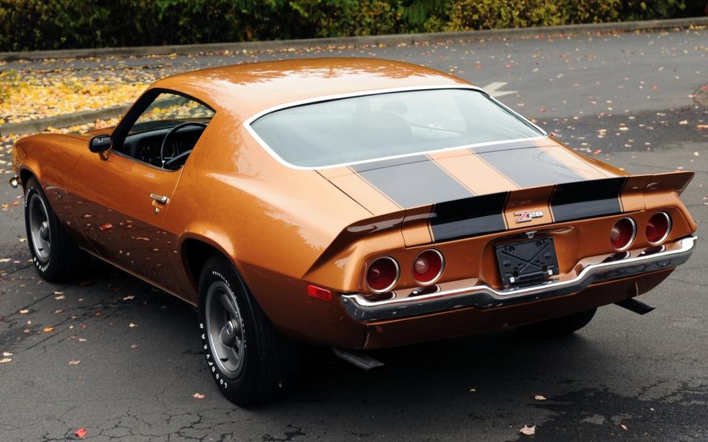 Z28,肌肉车,背景,肌肉车,Camaro,后视图,雪佛兰,叶子,轿跑车,Camaro,橙色,1971,...