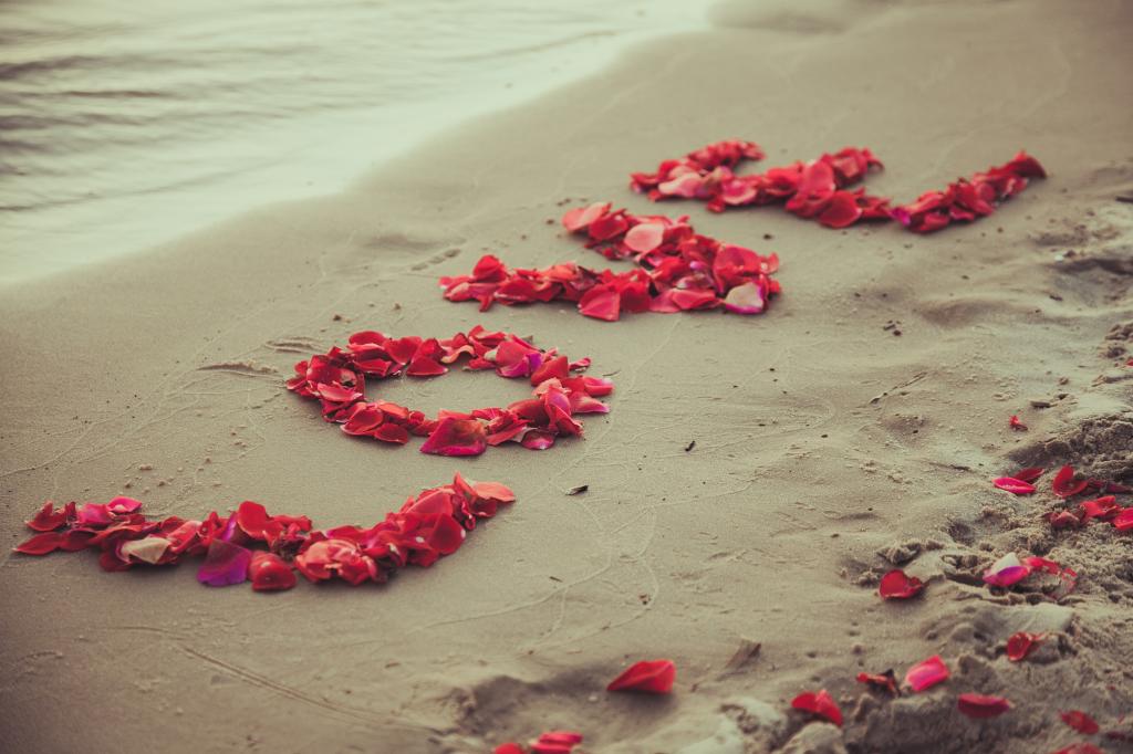 壁纸花瓣,浪漫,沙滩,爱情,沙滩,海,浪漫,沙,沙,甜,花瓣,爱情