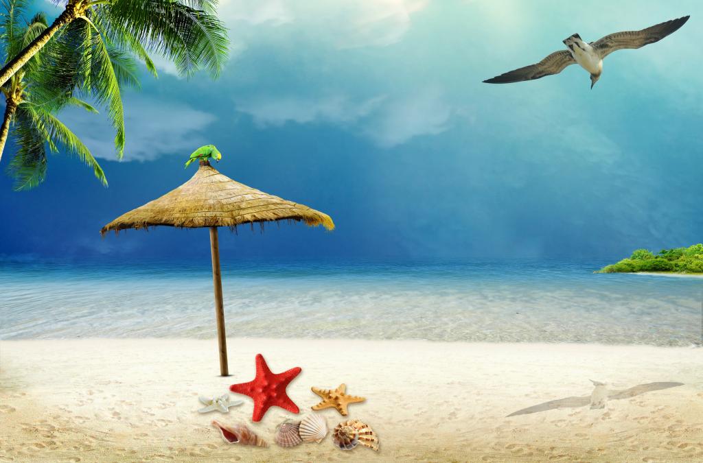 度假,住宿,沙滩,贝壳,沙滩,贝壳,沙,海,夏天,海星,夏天,太阳,热带