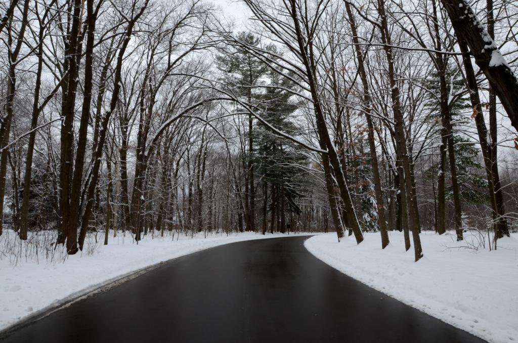 道路之间冬季高清壁纸光秃秃的树木