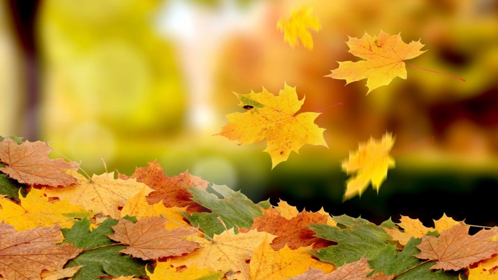 壁纸堆,叶子,秋天,下降