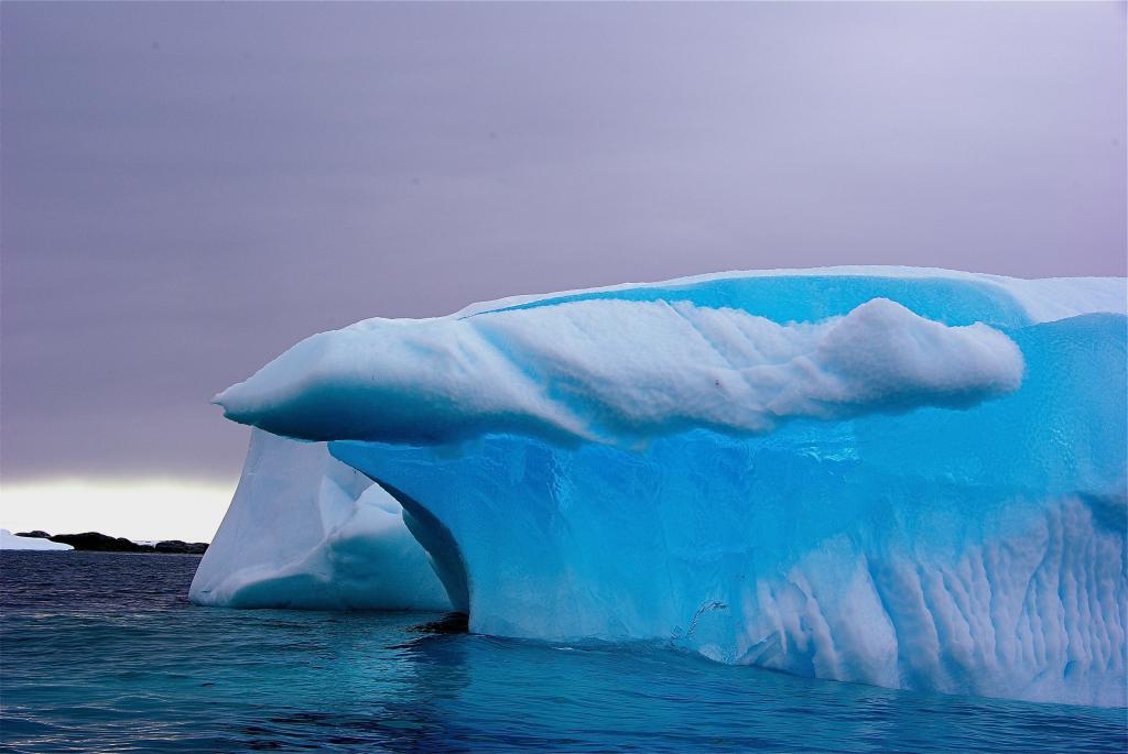 白天附近的海洋冰冰川,南极洲高清壁纸