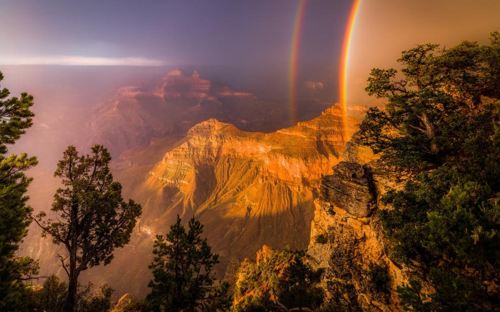 彩虹,光,峡谷,树木,岩石,美国
