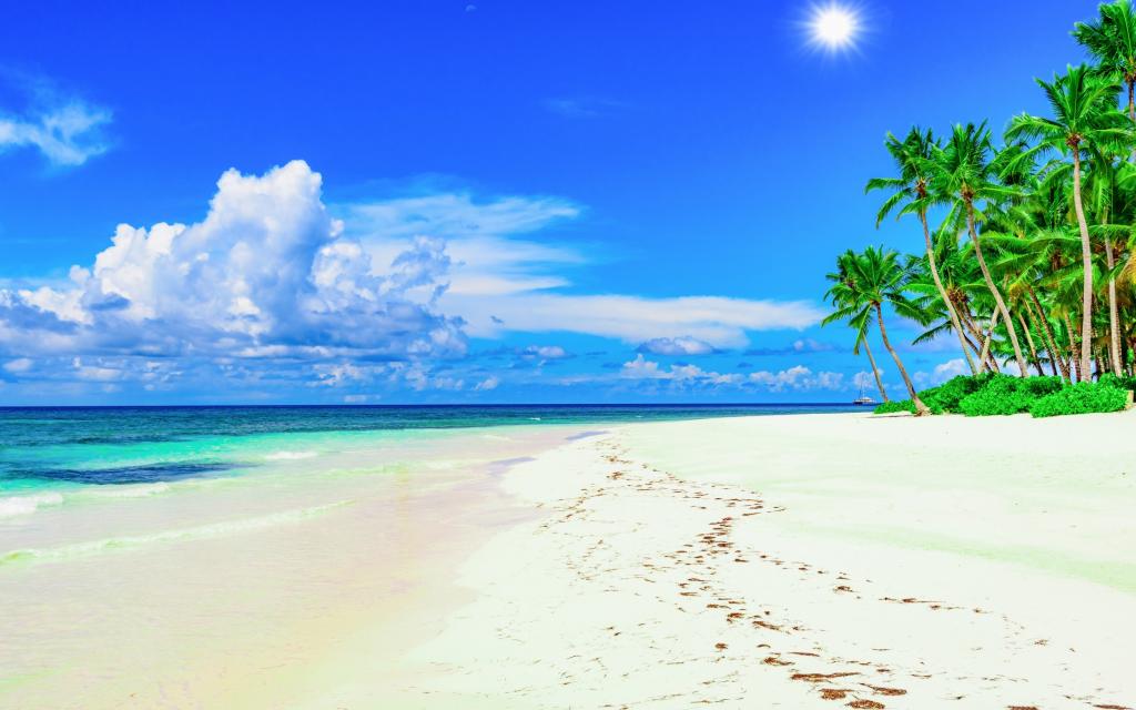 太阳,热带,夏天,海洋,沙滩,海洋,沙滩,海滩,棕榈树,岸边,岛屿,天堂,棕榈...