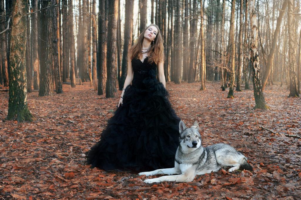 森林,女孩,狼,与狼共舞