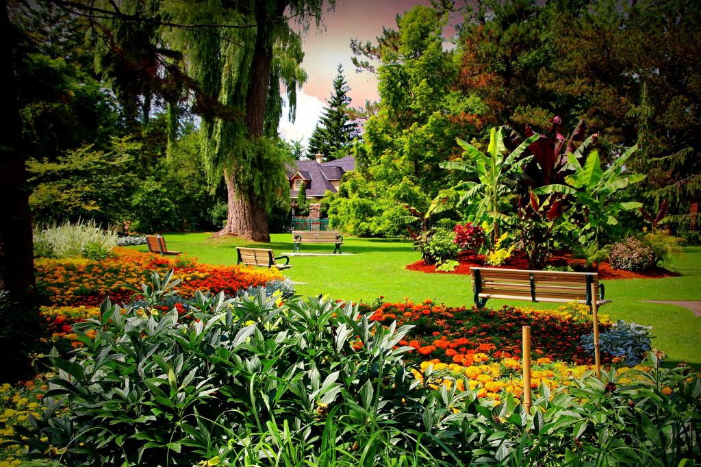 爱德华兹花园,鲜花,花园,万寿菊,树木,灌木,长凳,围墙,房子,长椅,加拿大,多伦多,...