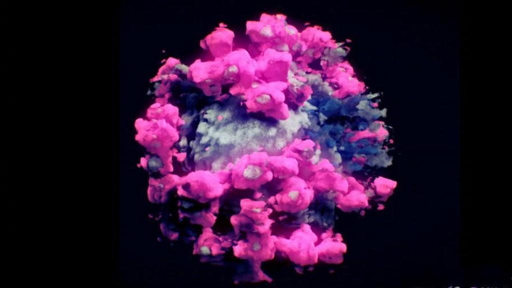 新冠病毒3D图像