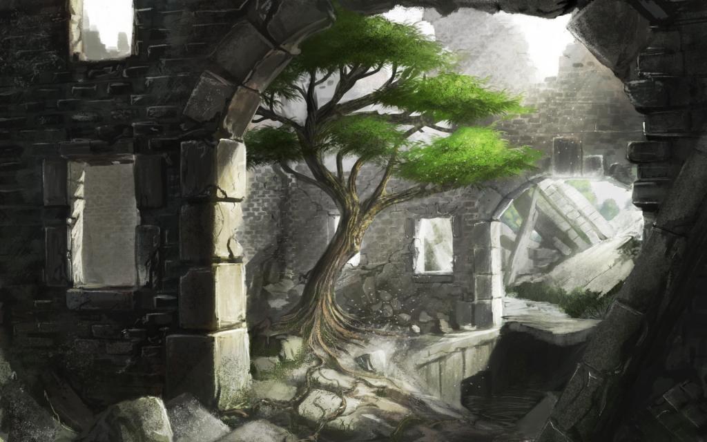树,石头,光,艺术,iidanmrak,拱,废墟