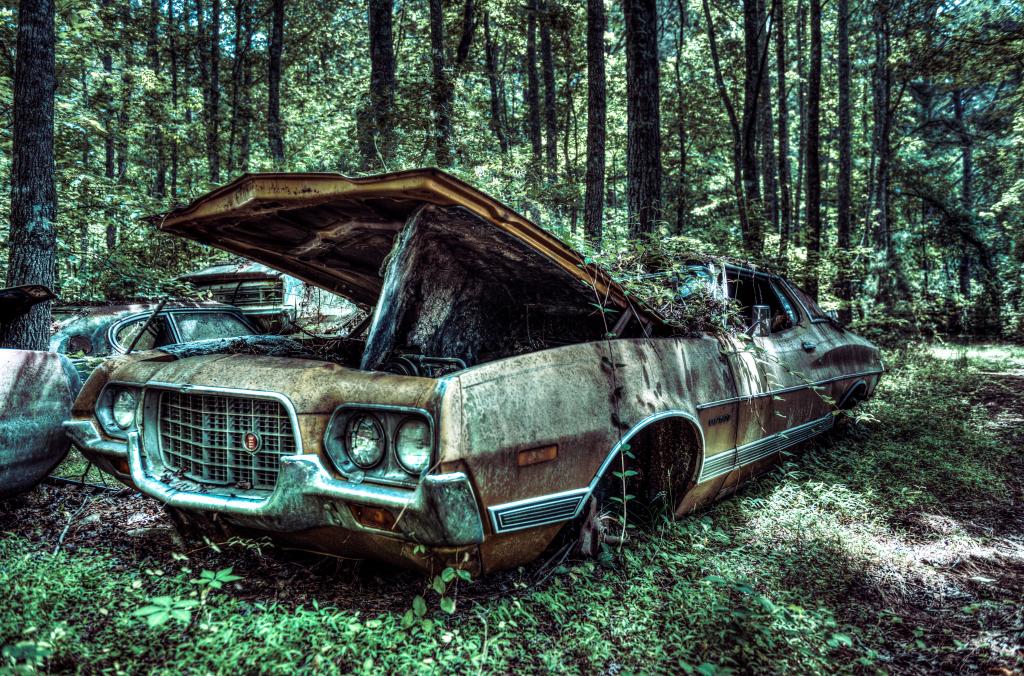 GA,车辆,美国,森林,1972年,旧,旧车,车,树,树,机,森林,格兰都灵...