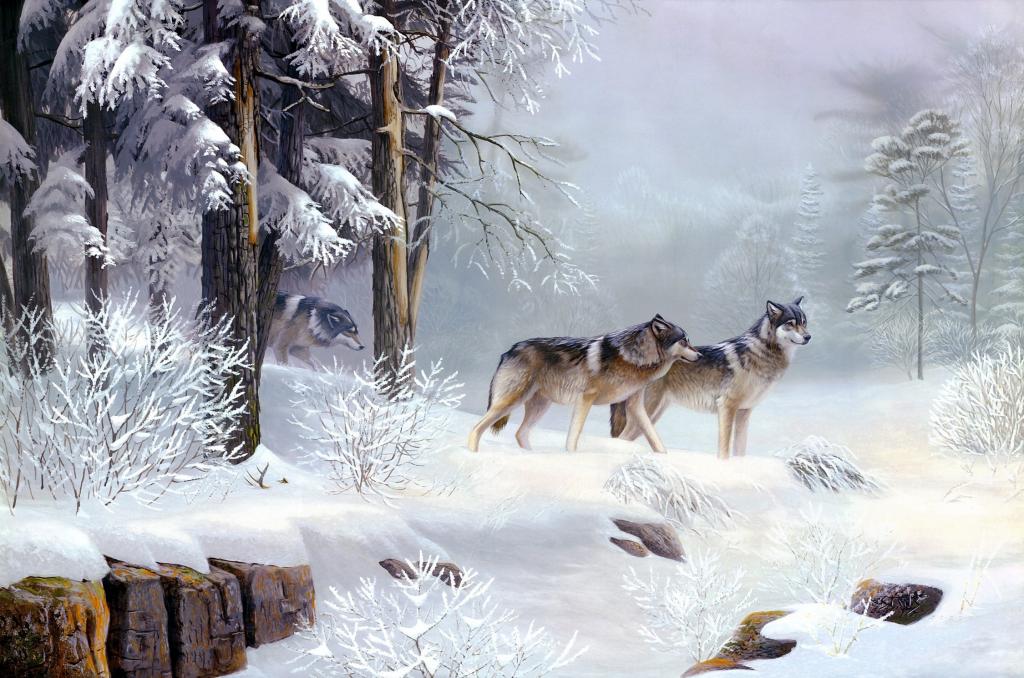早上,动物,寒冷,冬天,狮子座斯坦斯,冷冰冰的,绘画,狼,早晨的孤独,森林