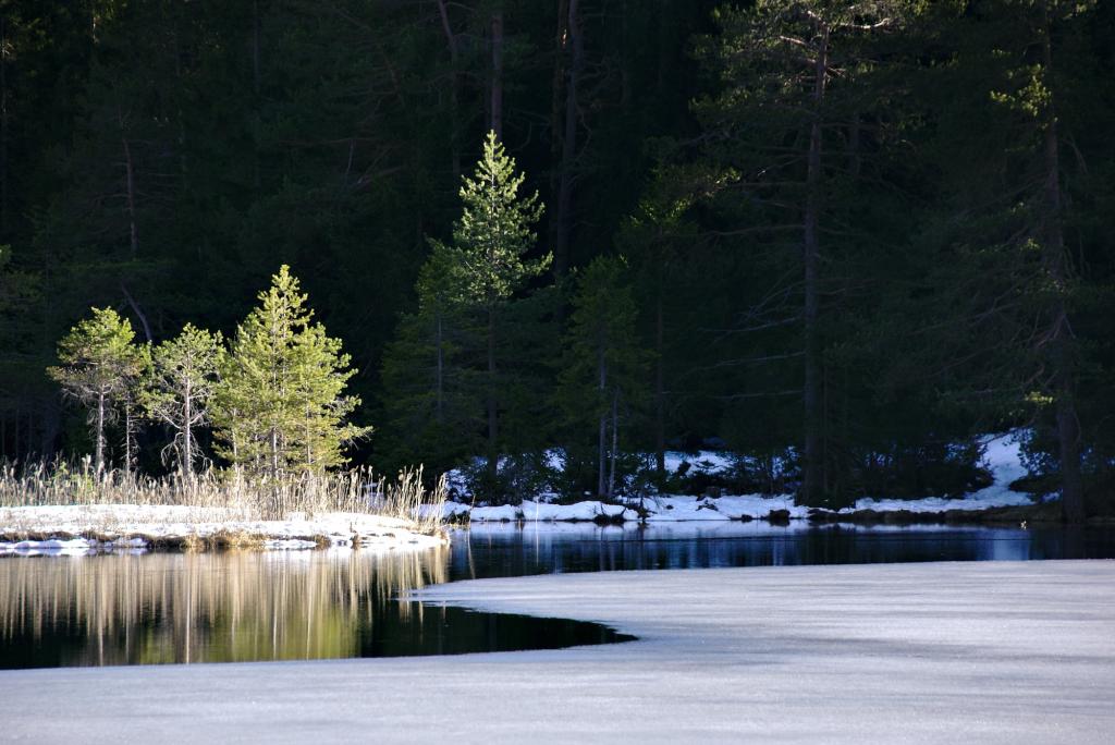 在白天照片高清壁纸白雪皑皑的湖