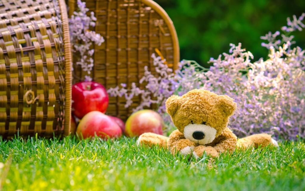 熊,篮子,玩具,苹果,草