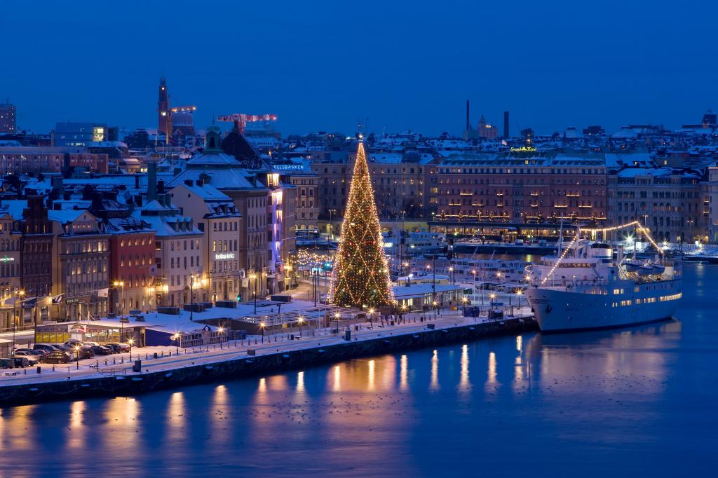 船,灯,假期,火,家,斯德哥尔摩,圣诞节,瑞典,树,城市,花环,新年,夜晚,...
