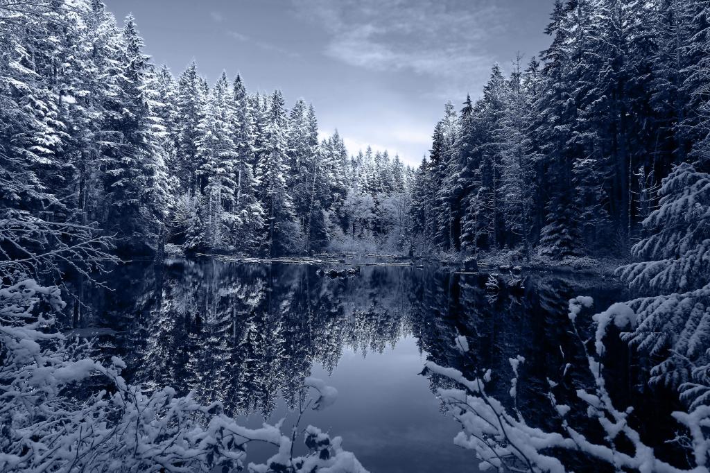 河包围着白雪覆盖的树高清壁纸的照片