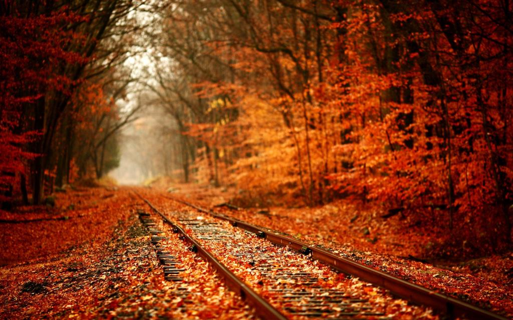 自然,叶子,直到转变,红头发秋天,铁路