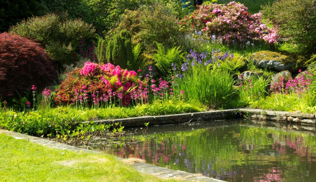 壁纸鲜花,丰富多彩,花园,灌木丛,英国,绿色,快乐的花园,池塘