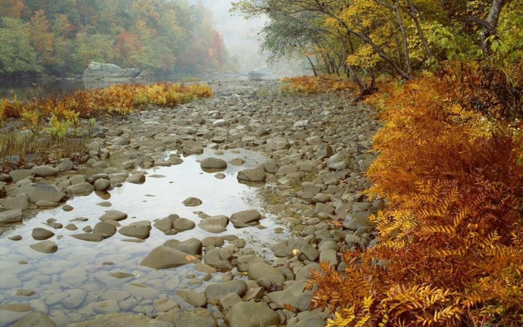 石头,树木,秋天,河流,森林