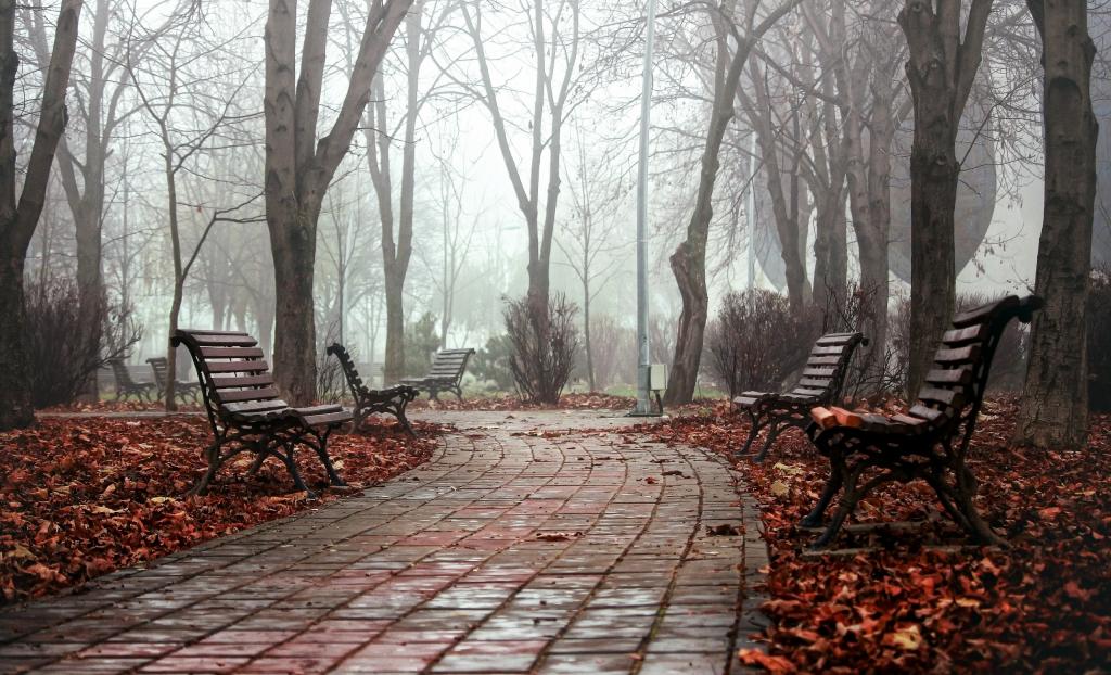 雾,长凳,公园,秋天,城市