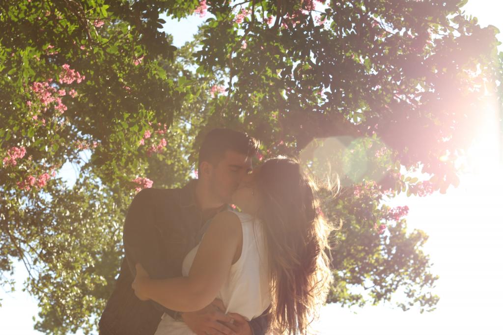 情侣接吻在树下高清壁纸