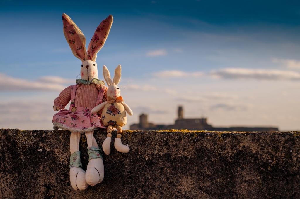 双兔毛绒玩具高清壁纸倾斜移位摄影