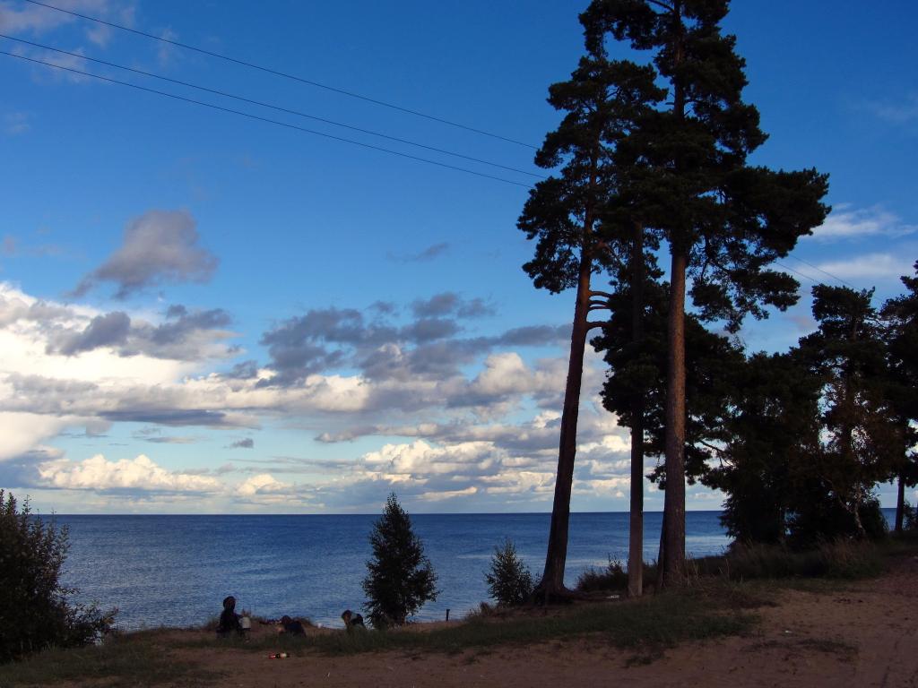 拉多加,性质,树木,俄罗斯,湖,照片,天空,云