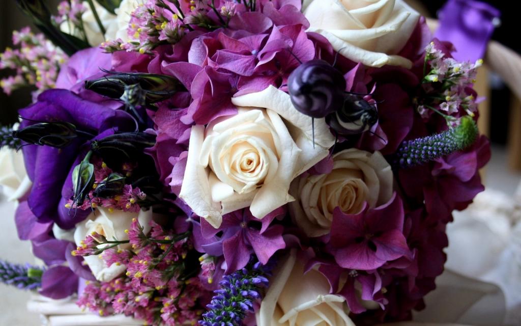 花,颜色,绣球花,桔梗,玫瑰,花,紫色