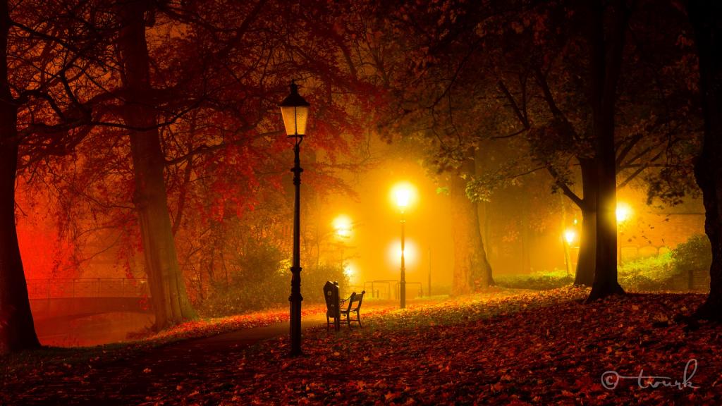 公园,桥,光,板凳,树,夜,灯,秋,暮光之城