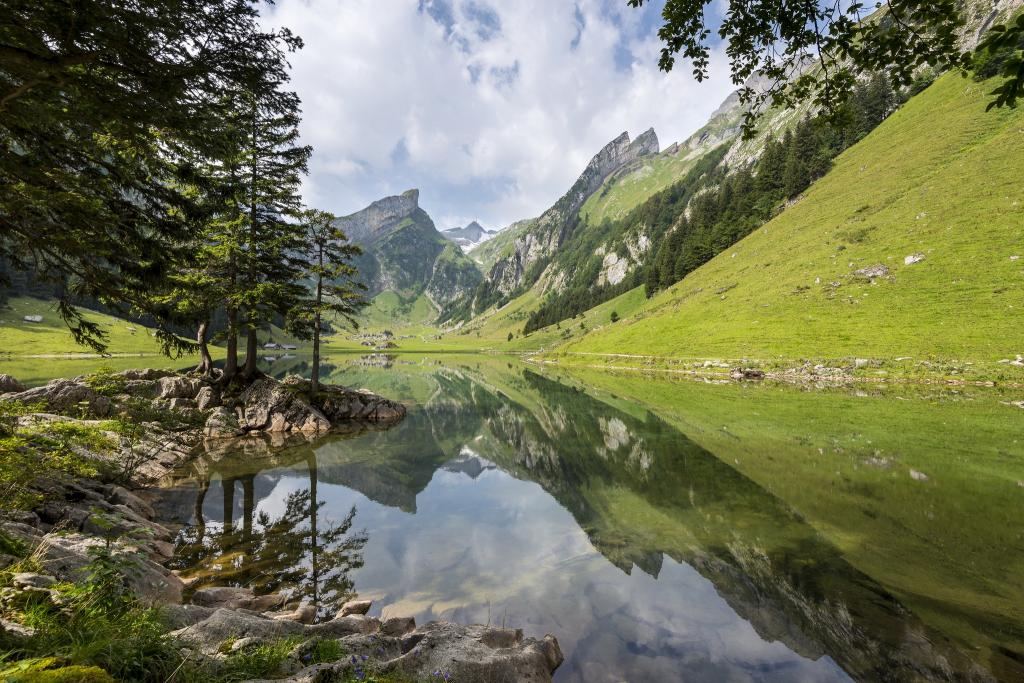 自然,湖,山,森林,阿尔卑斯山