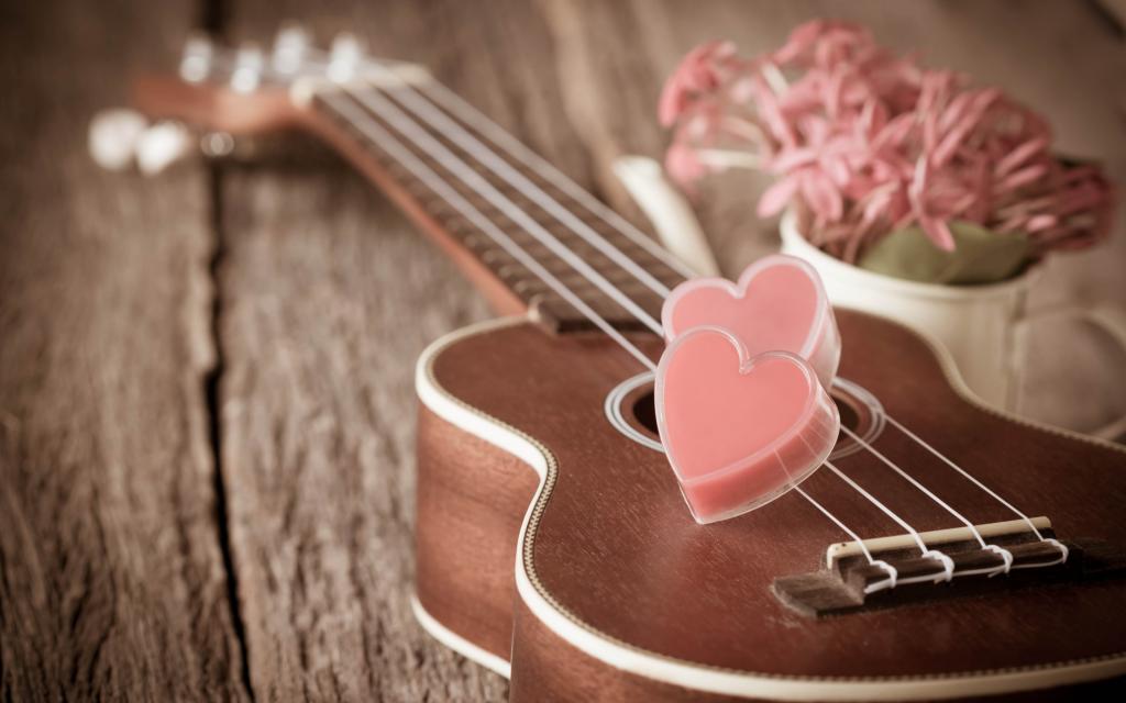 鲜花,复古,吉他,心,爱,心,浪漫