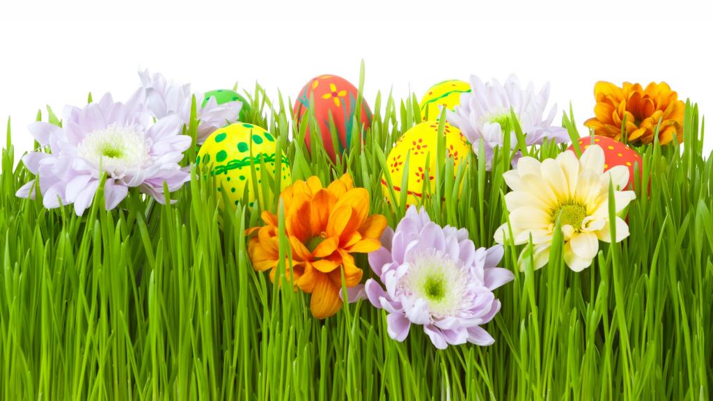复活节,复活节,鸡蛋,草,鲜花