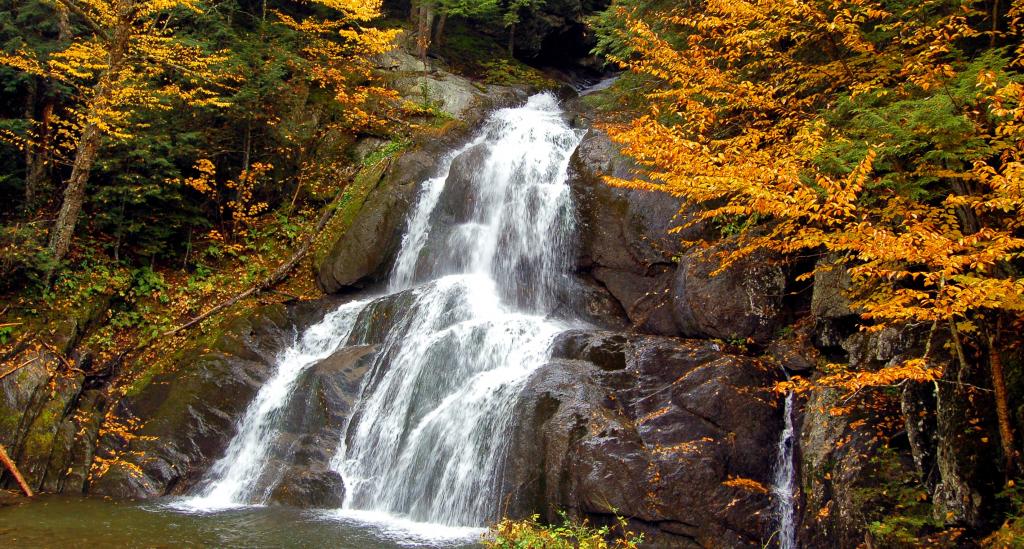 佛蒙特州高清壁纸的绿色和棕色树木包围的瀑布的延时摄影