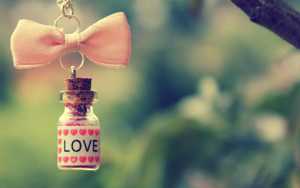分支,瓶,链,心,弓,爱,粉红色