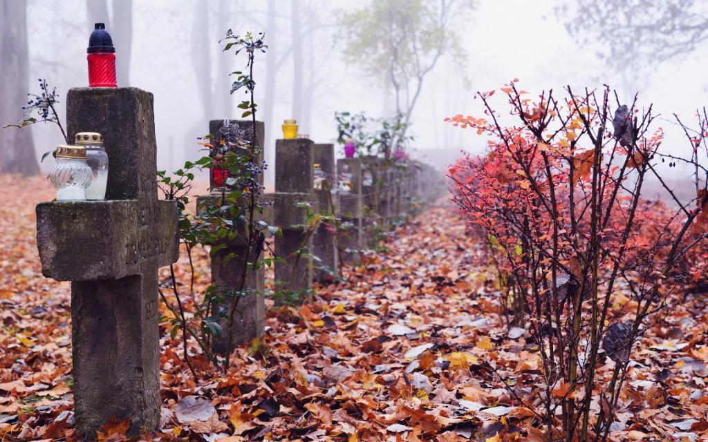 壁纸公墓,雾,树木,十字架,坟墓,秋天,树叶