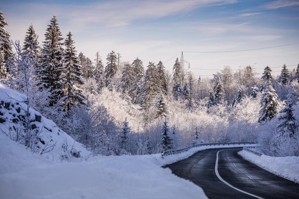 雪,克罗地亚,冬季,道路,树木,森林